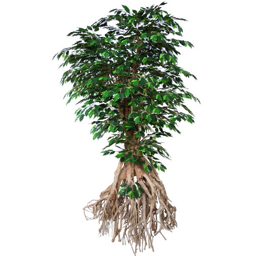 Planta semi-artificiala Ila, Ficus Exotica Root Giant Green - 250 cm